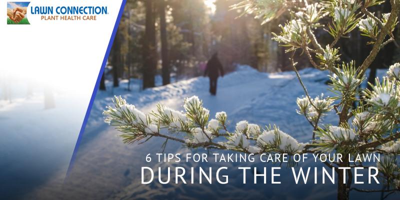 6-tips-for-taking-care-of-your-lawn-this-winter-5a21cb0ae93bb-5be9e9c92da6a