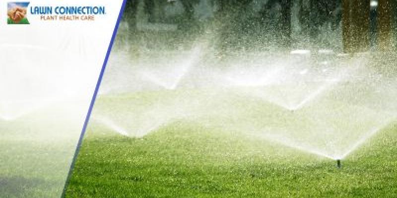 SprinklersFB-161116-582caf7a47b89-400x209-5be9e4a958b32