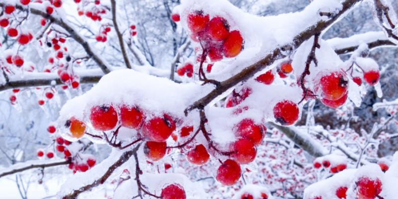 dreamstime-xxl-1597992-5be9e6da2a971