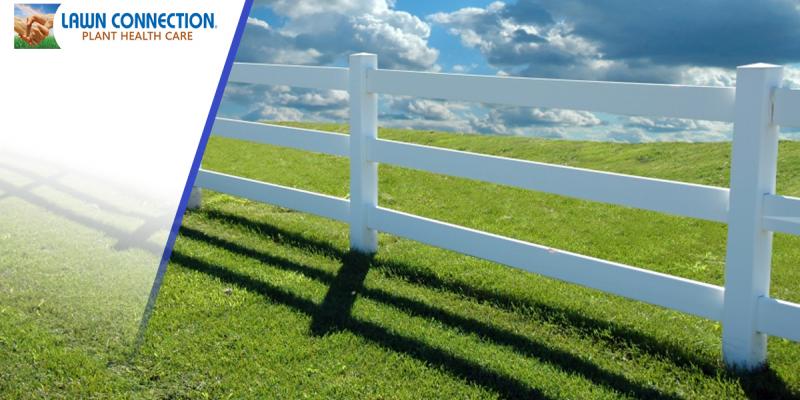 fence-58b82feb7aa93-5be9e59e3b943