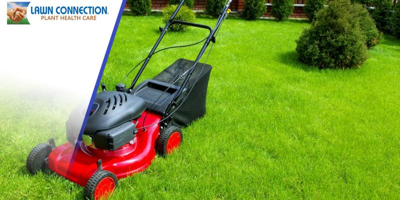 lawn-mower-58b82da8b2964-5be9de7619061