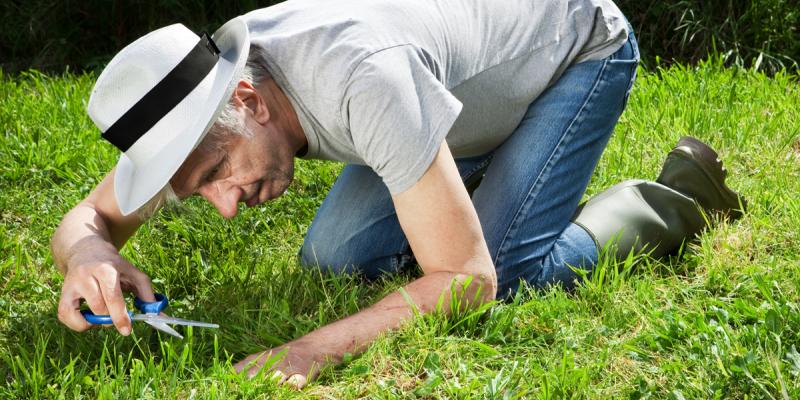 spring-lawn-care-161220-5859ab6b7bcf5-5be9e0a8336ab