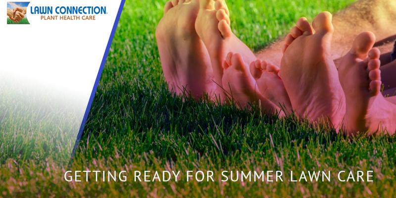 summer-lawn-care-58fe2446c0b11-5be9e39089478